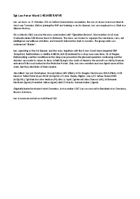 A preview of a PDF biography for Ward, Leo Peter